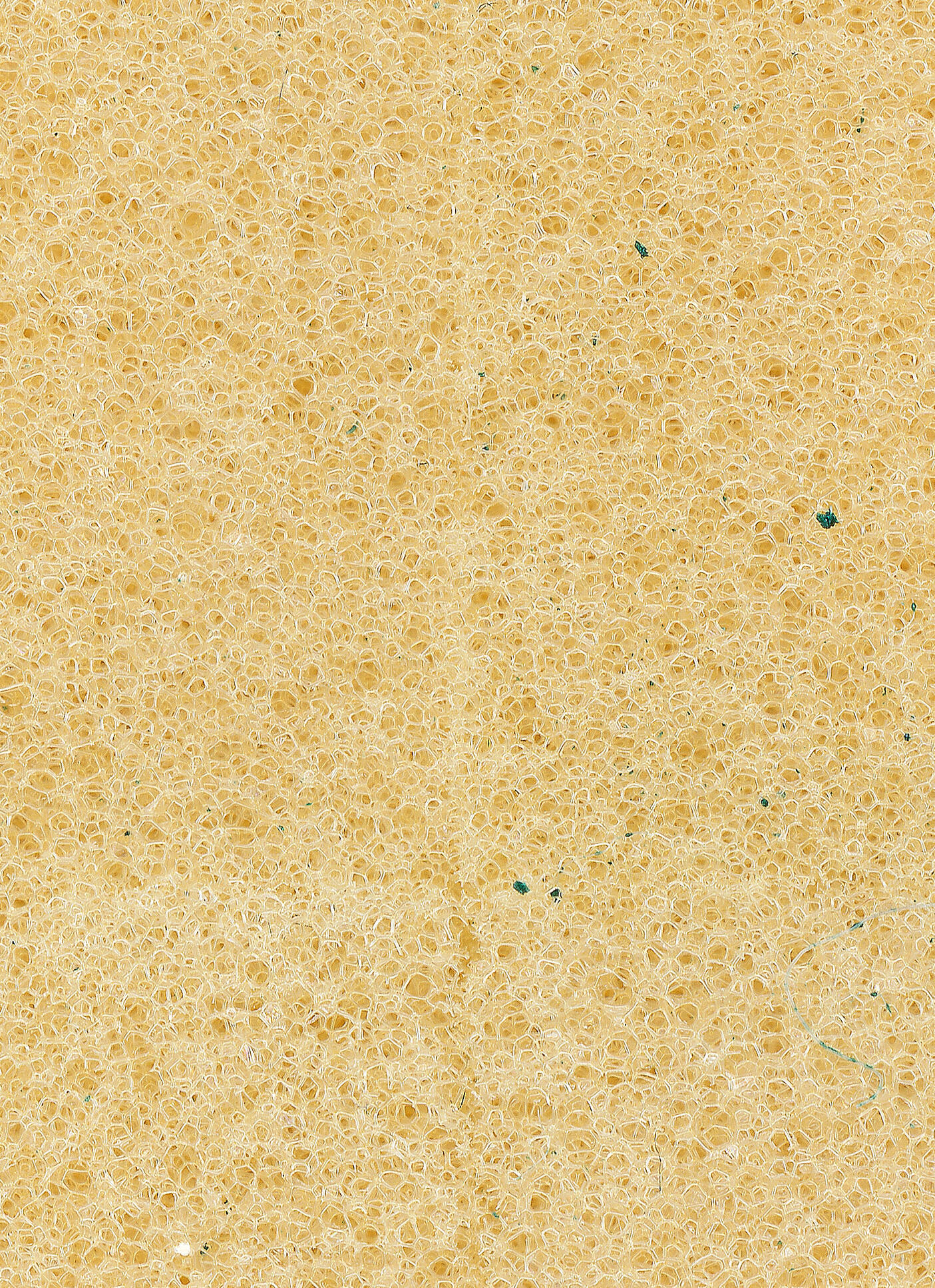 Kitchen Sponge triptych I